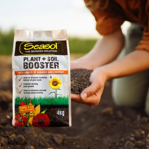 Seasol Plant + Soil Booster 4kg – Premium outdoor plant care solution for boosting soil health and plant growth.