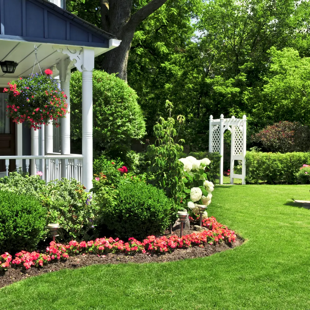 Lush green garden with healthy plants and flowers, maintained using NPK fertilizer