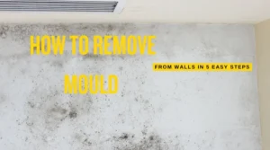 A person cleaning mould off walls using an effective mould remover to restore a clean and healthy home environment.