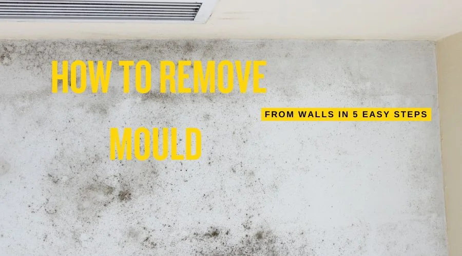 A person cleaning mould off walls using an effective mould remover to restore a clean and healthy home environment.