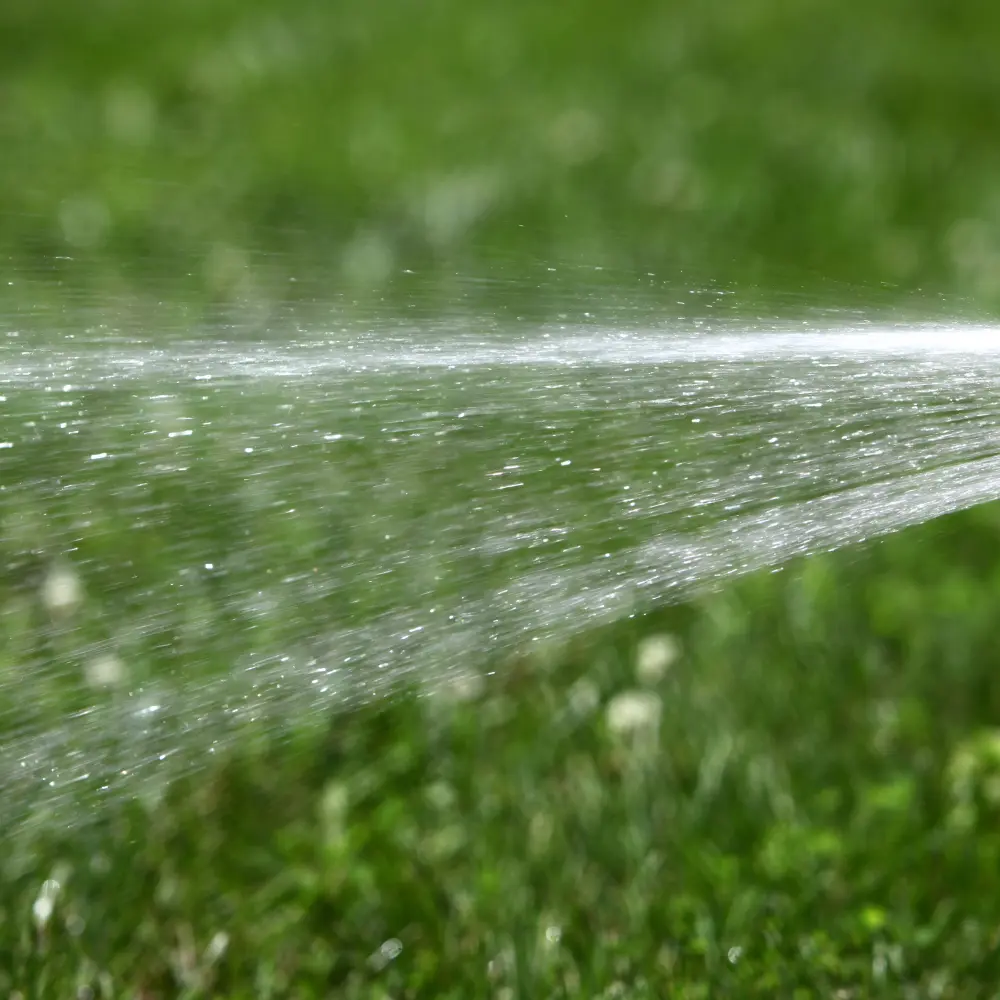 Lawn being fertilized with PowerFeed for lush, green, healthy grass