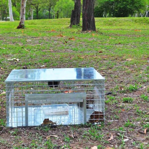 Close up of the Toadinator's one-way finger doors that allow cane toads to enter, but not exit the trap.