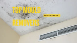 A selection of top mould removers, including natural and commercial options, for a cleaner and healthier home.