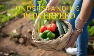 A gardener harvesting fresh vegetables, illustrating the benefits of PowerFeed fertilizer