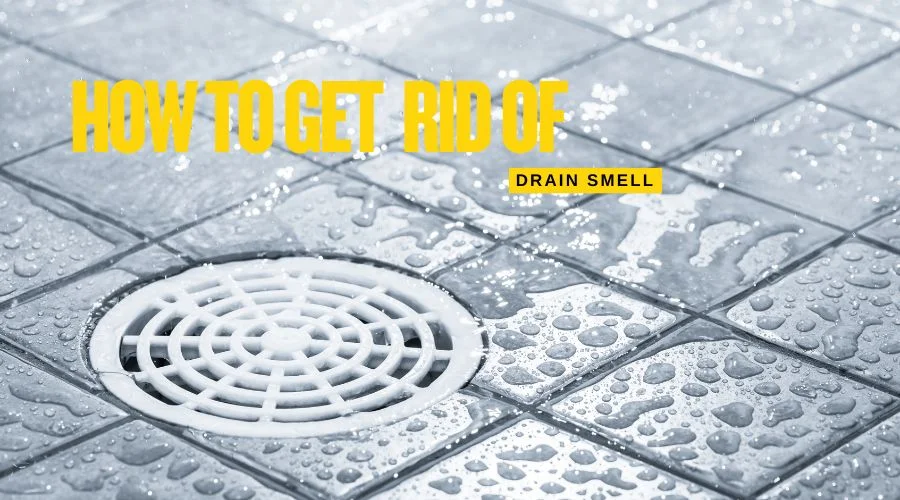 Stinky drain? Pestrol Australia has solutions to eliminate drain smells for a fresher home."